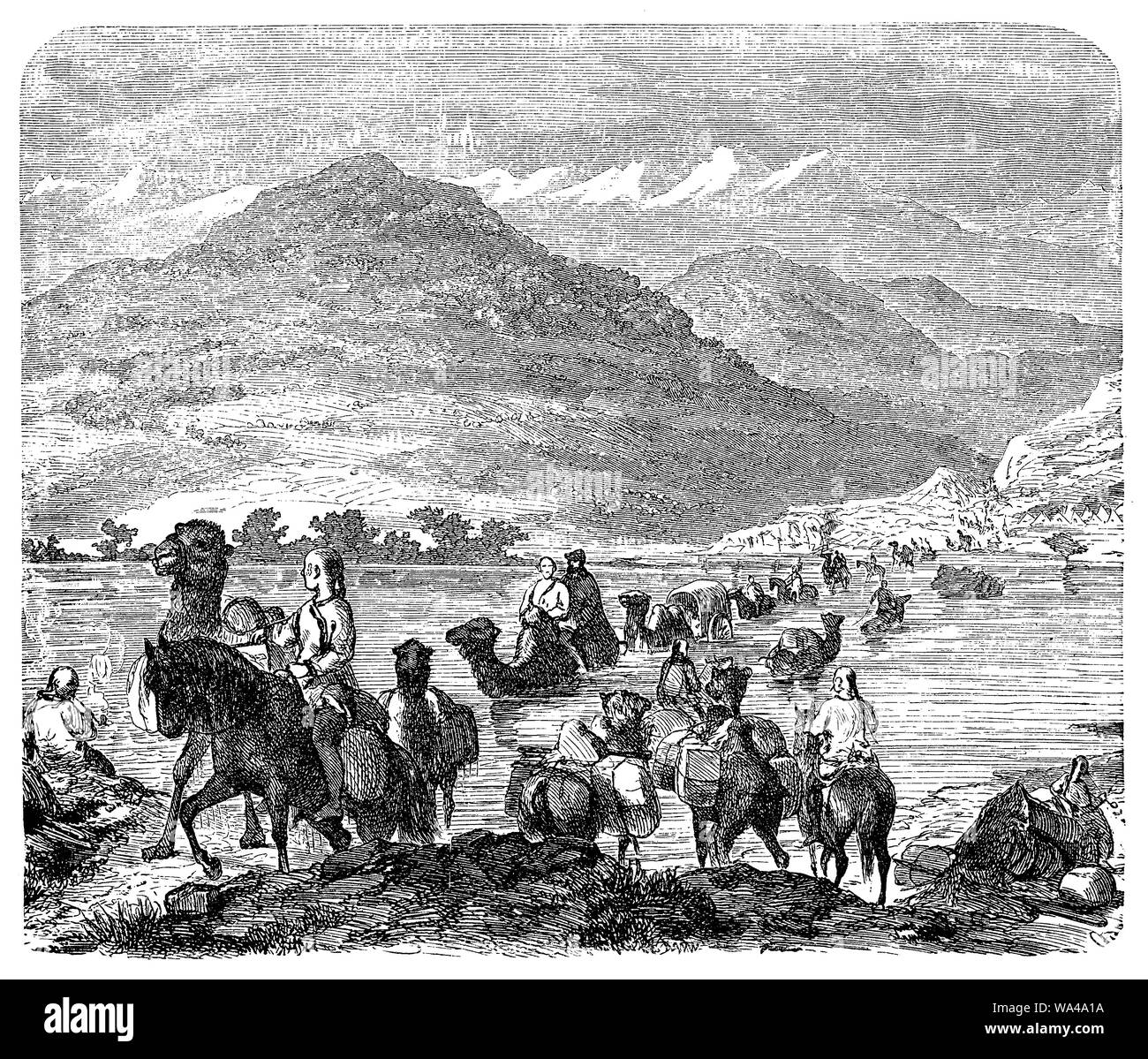 Kamelkarawane, die einen Fluß überquert, in der Mongolei Stockfoto