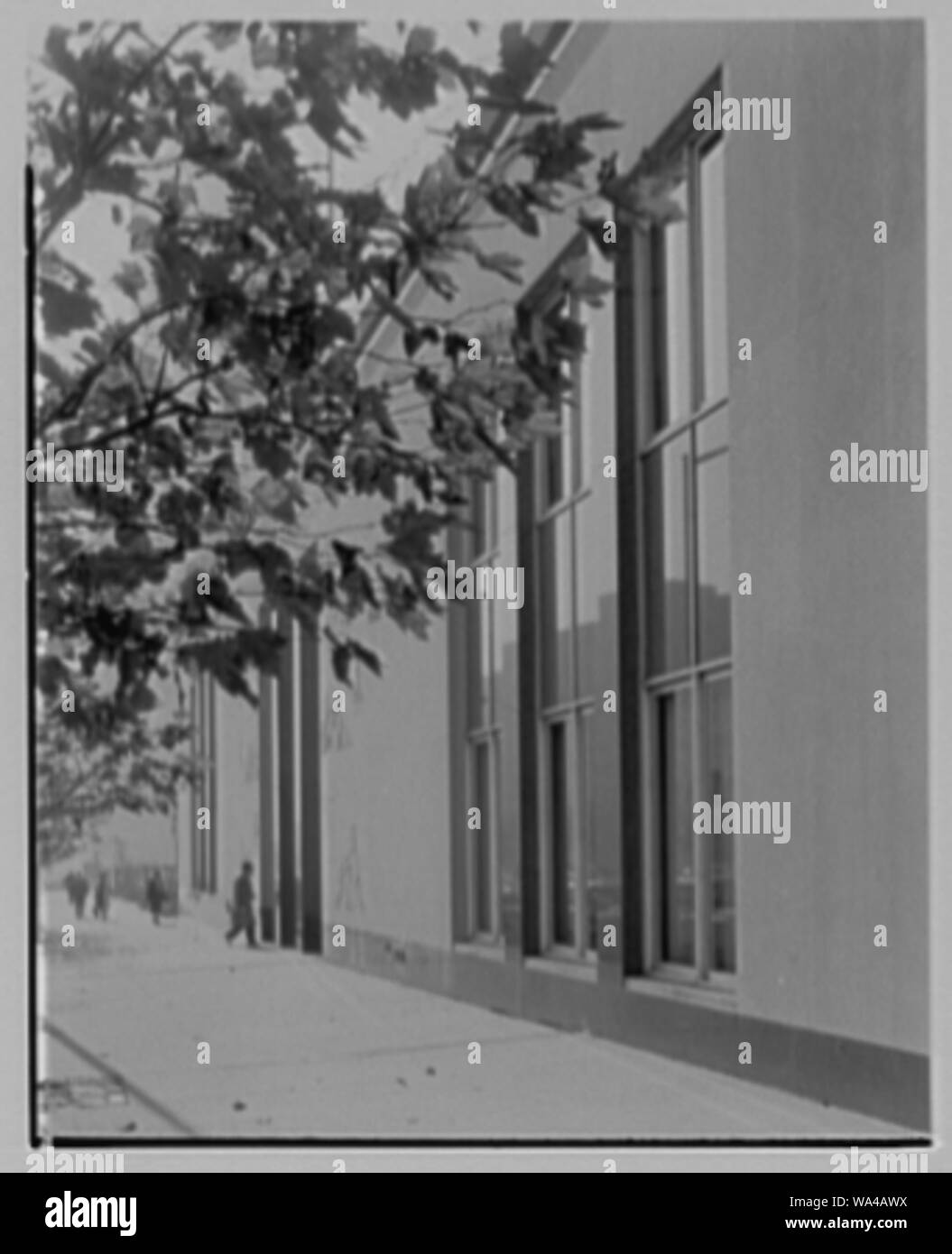 Brooklyn Public Library, Brooklyn Heights Zweig, Fulton und Clinton St., Brooklyn, New York. Stockfoto