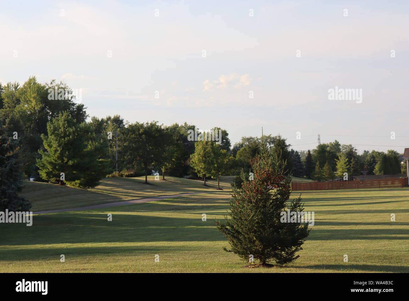 Foto von einer grünen Landschaft in Cincinnati, OH. Stockfoto