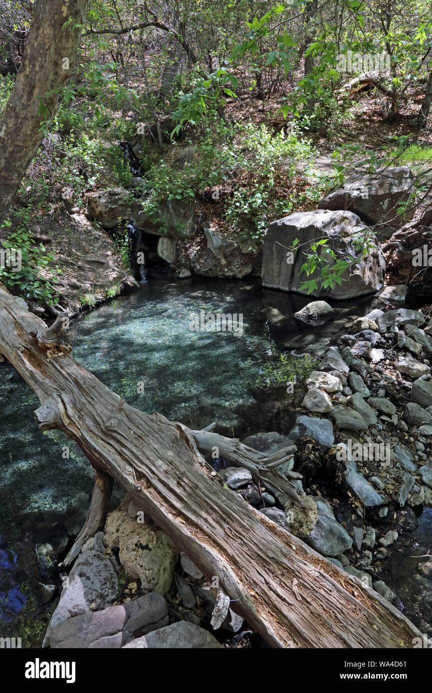 Die Jordanien Hot Springs, in der Gila National Forest, New Mexiko. Stockfoto