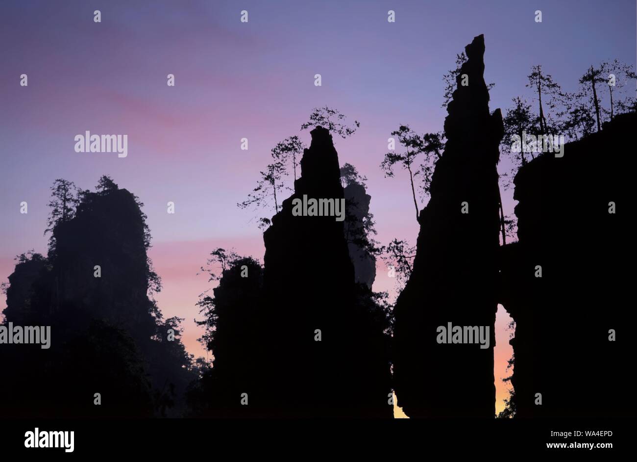 Silhouetted Quarzit schmalen Sandstein Säulen und Kalksteinsäulen bei Yubei Feng im Wulingyuan Scenic and Historic Interest Area im Zhangjiajie National Forest Park in Hunan Provinz China Stockfoto