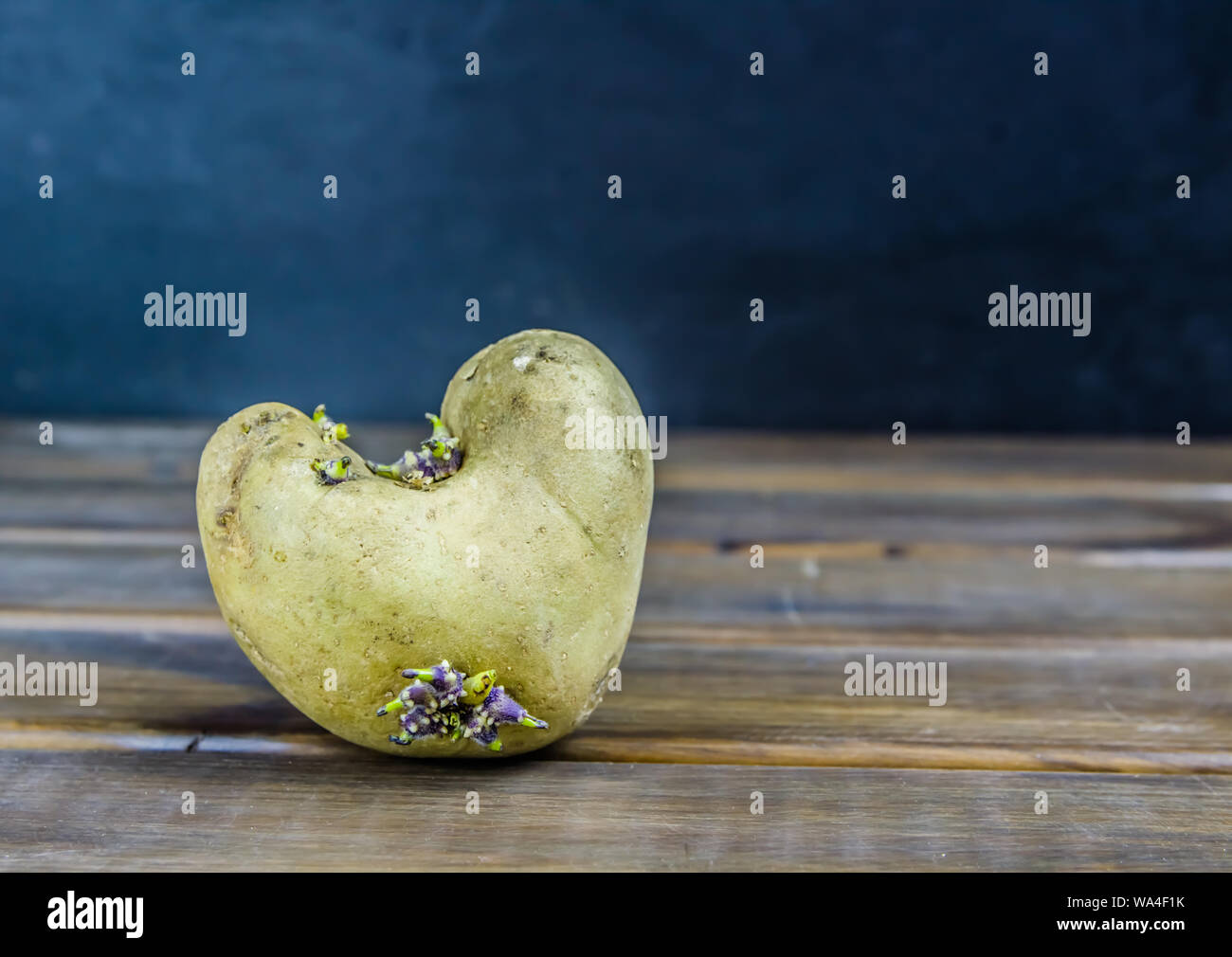 Gekeimte Kartoffeln, in Form von einem Herz auf braunem Holz- Hintergrund mit Kopie Raum Stockfoto