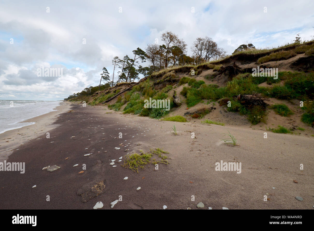 Amber Coast an der Ostsee in der Nähe von Liepaja in Lettland, Europa Stockfoto