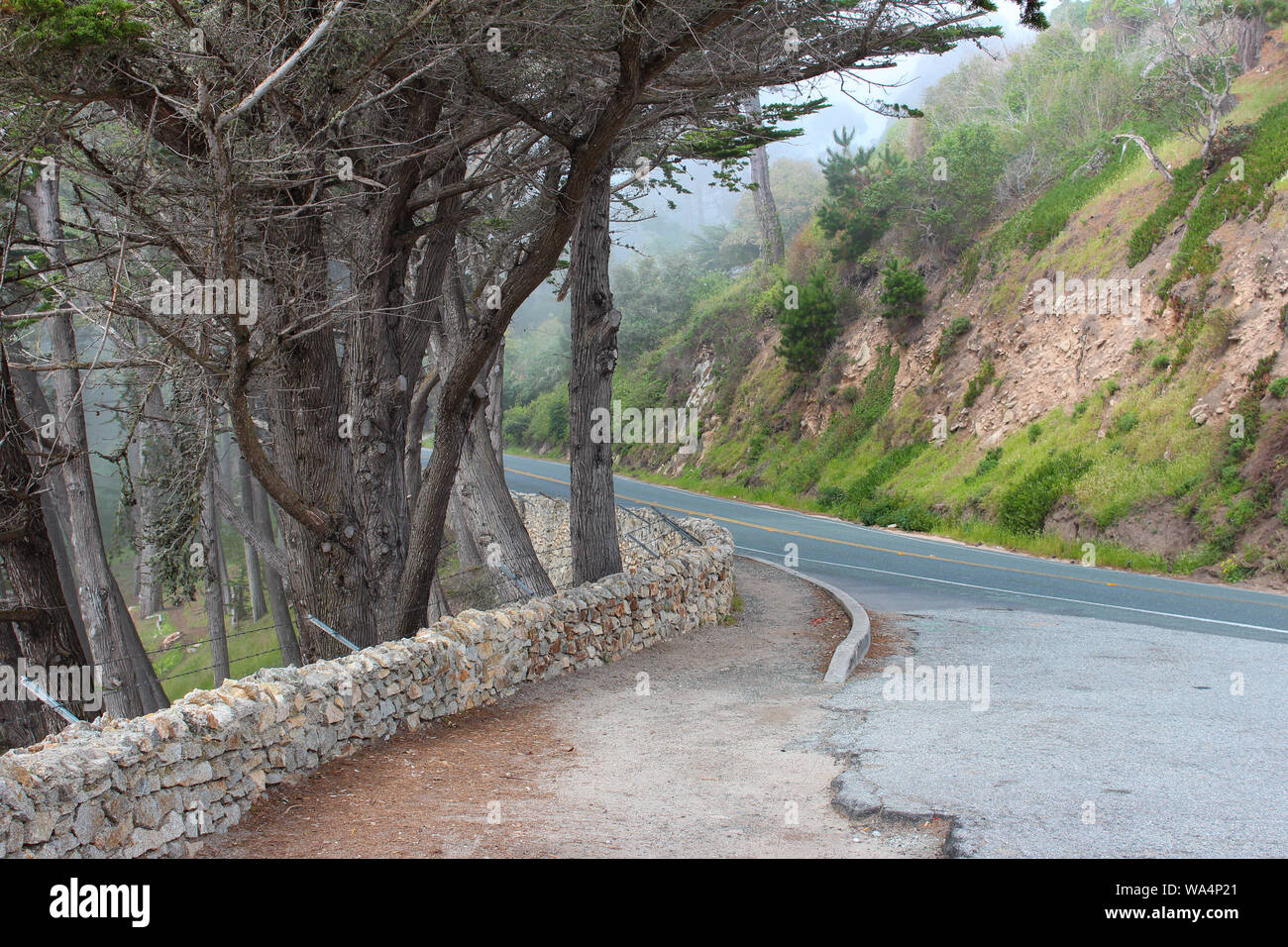 Cabrillo Highway, in der Nähe von Monterey, Kalifornien, USA Stockfoto