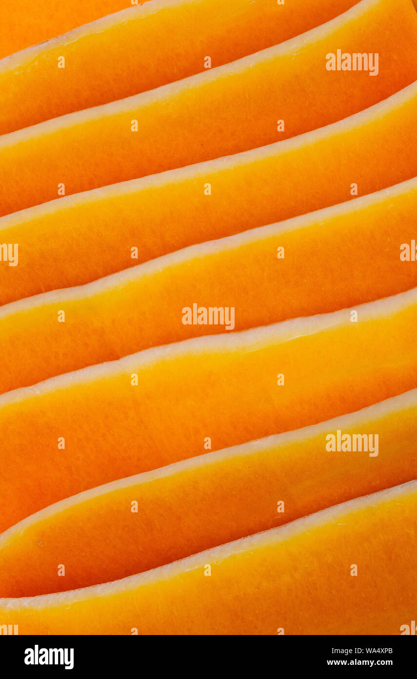 Abstrakte Darstellung von Butternut Squash Schichten Stockfoto