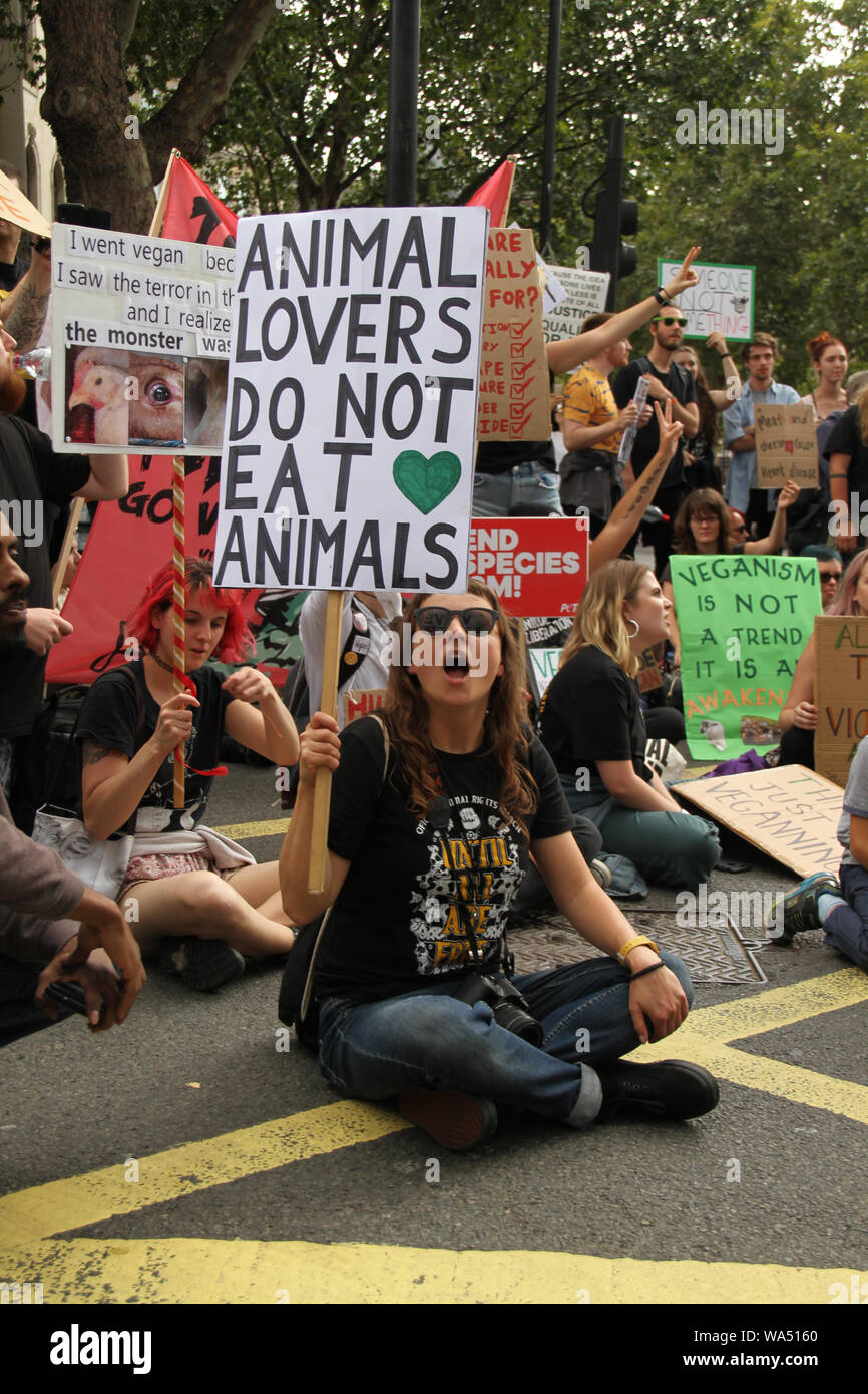 London, Großbritannien - 17 August 2019: Tausende von Tieren Rechte Demonstranten nahmen an der Straße von London in einem Marsch von Park Lane an Whitehall, führt zu Straßensperrungen rund um Traflagar Square am 17. August 2017. Im März von der britischen Tierschutzorganisation Surge gegründet begann in London im Jahr 2016 mit 2.500 Teilnehmern und bis 2018 hatte globale Anwesenheit von 28.000 Veganer in 25 Städten der Welt marschieren versammelt, forderten ein Ende alle tierischen Unterdrückung. Quelle: David Mbiyu/Alamy leben Nachrichten Stockfoto