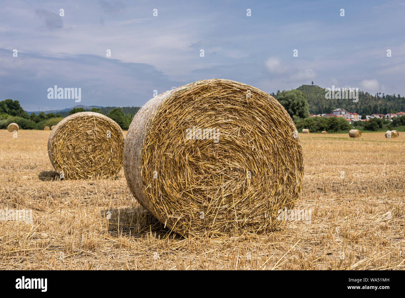 Strohballen auf einem Feld in der Nähe von Postojna, Slowenien Stockfoto