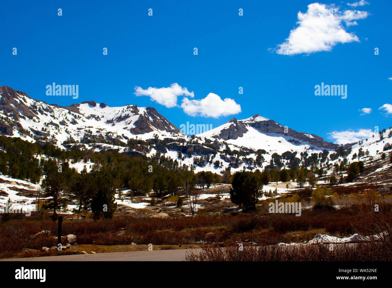 Lamoille Canyon Schnee Stockfoto