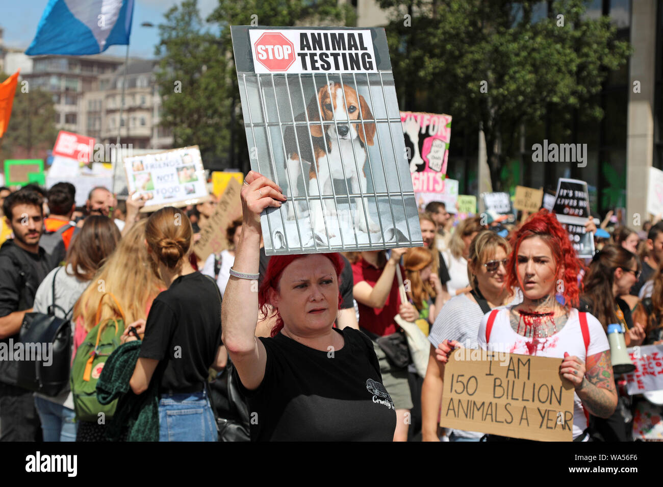 London, Großbritannien. 17. August 2019. Demonstranten auf der offiziellen Tierrechte März marschieren durch London ist eine jährliche vegan März protestieren die Behandlung von Tieren und von Surge organisiert. Quelle: Paul Brown/Alamy leben Nachrichten Stockfoto