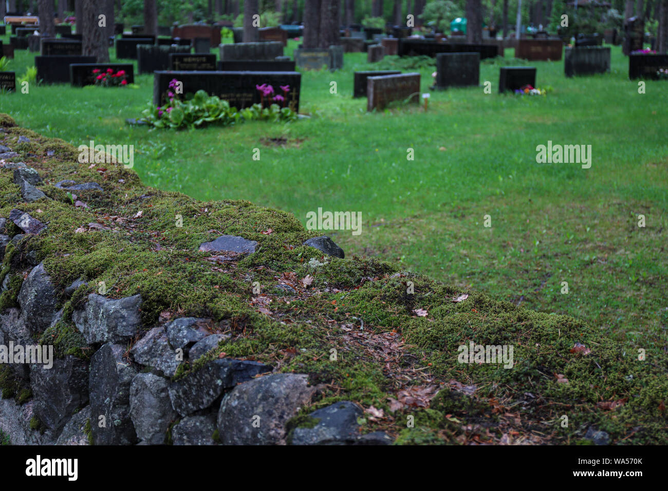 Moos bedeckt Friedhofsmauer in Järvenpää, Finnland Stockfoto