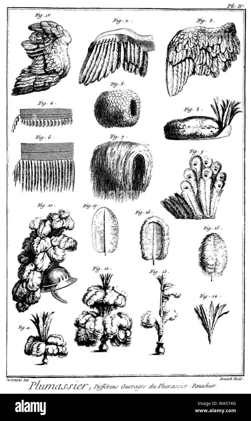 Différents ouvrages du XVIIIe siècle - plumassier panachier. Stockfoto