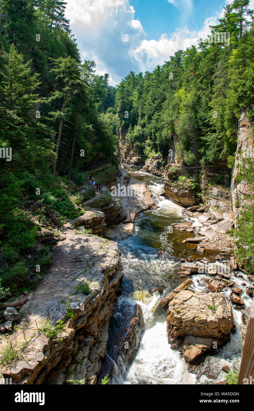 Rock Simsen entlang des Flusses an AuSable Abgrund NY Stockfoto