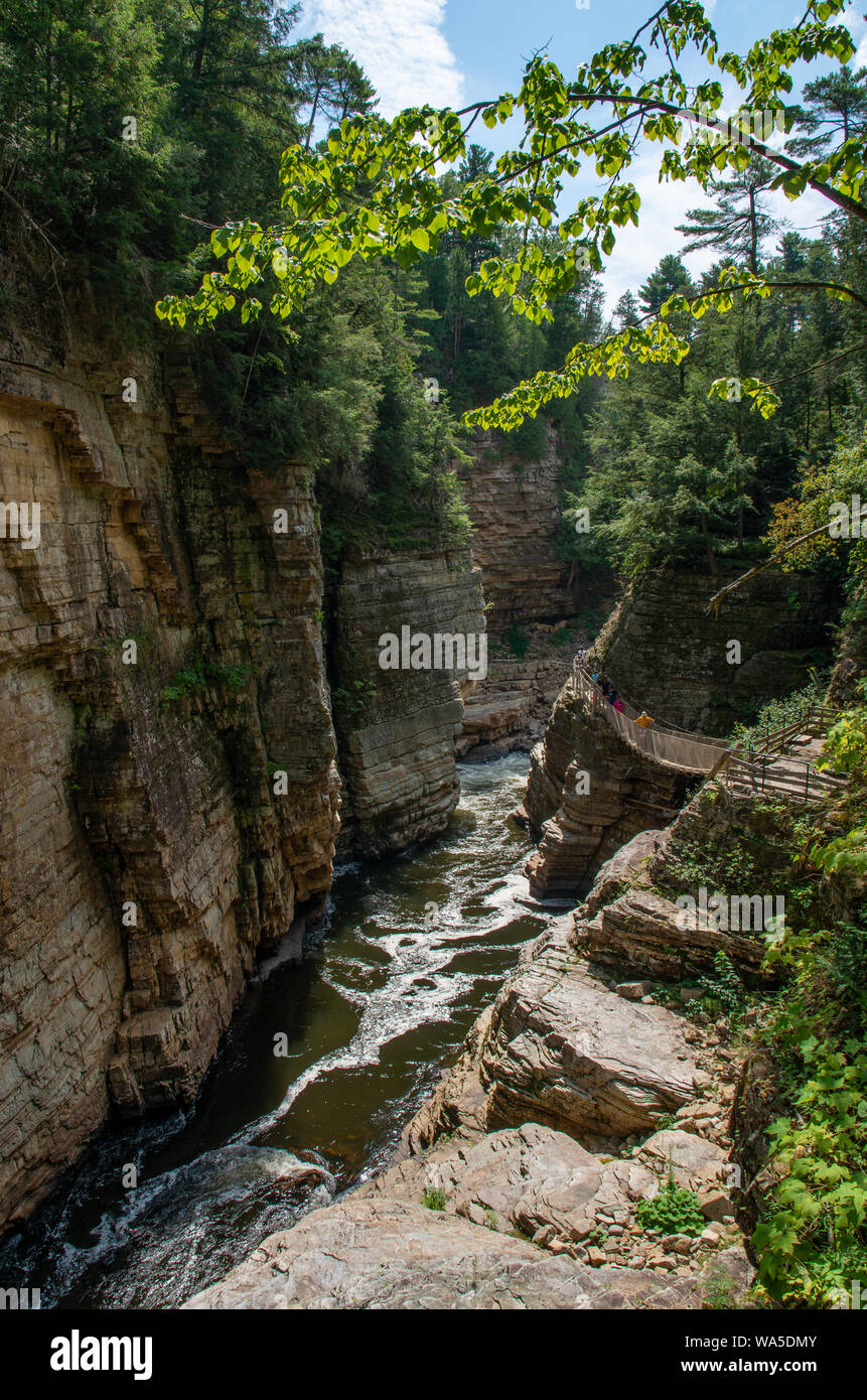 Rock Simsen entlang des Flusses an AuSable Abgrund NY Stockfoto