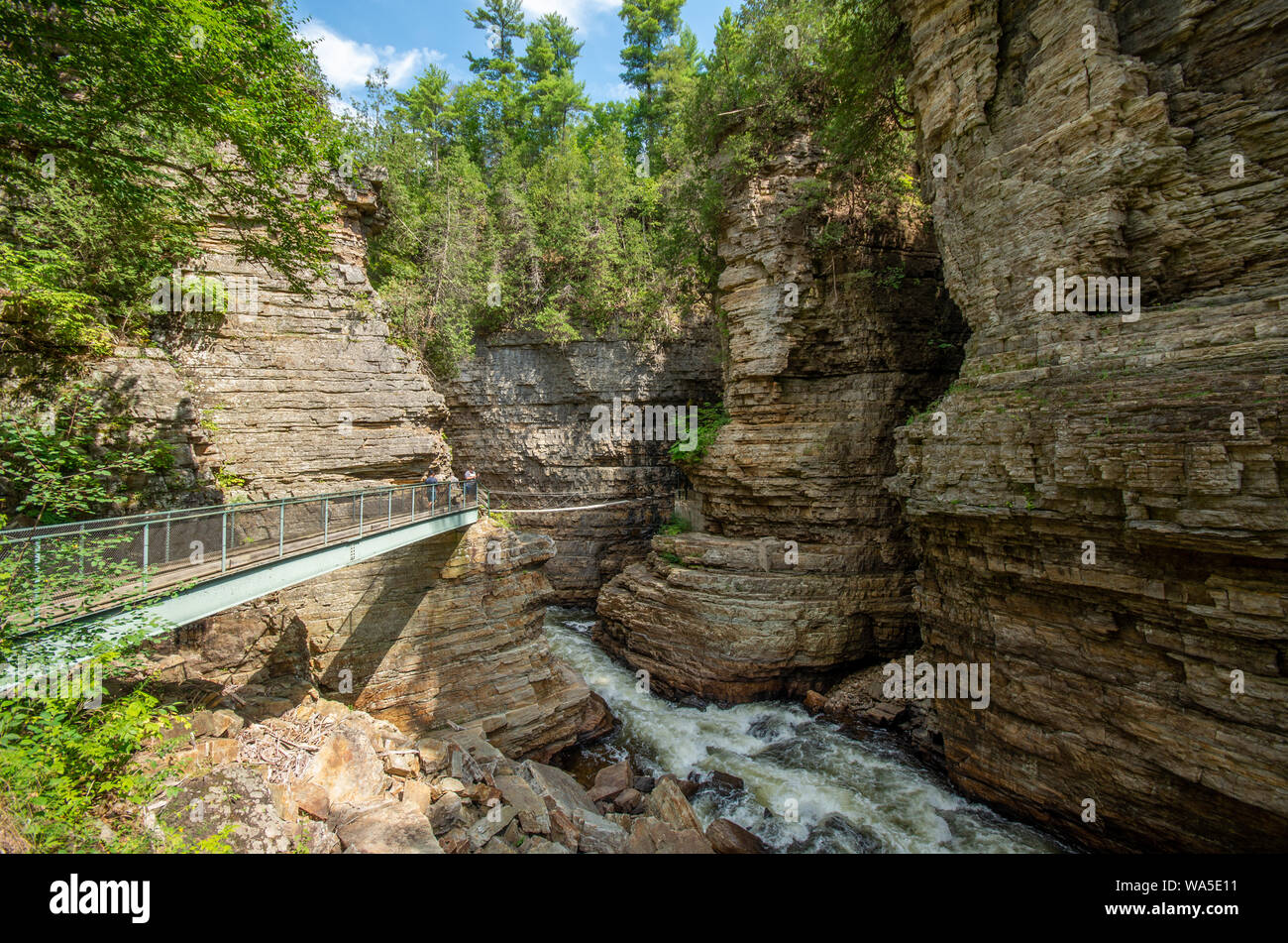 Rock Simsen entlang des Flusses an AuSable Abgrund NY Stockfoto