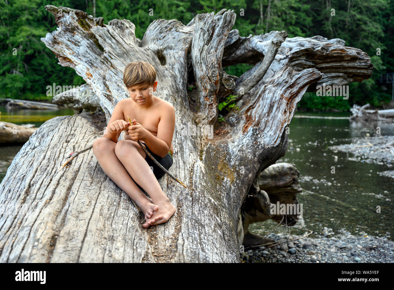 10 Jahre alten Jungen auf dem Campingplatz, sitzend auf einem gefallenen Baumstamm, und konzentriert sich auf das Schnitzen eines hölzernen Stock für den Grill mit einer kleinen Tasche kn Stockfoto