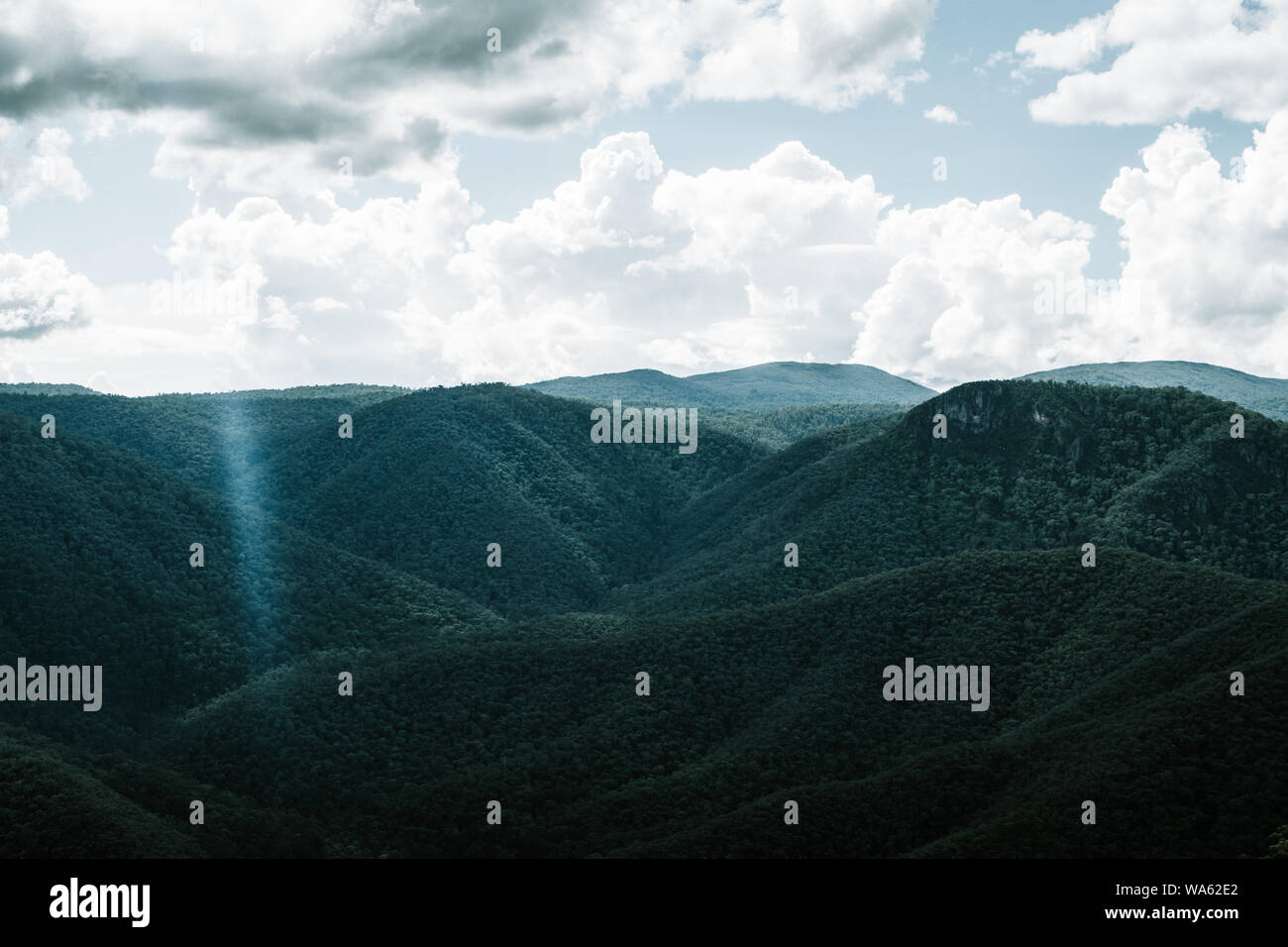 Die Berge an der schwarzen Perry Lookout, New South Wales Stockfoto