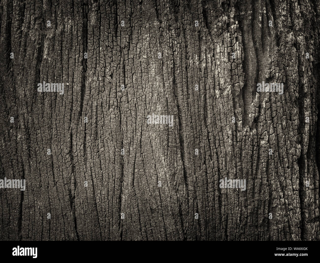 Closeup getrocknet Textur der dunkle braune Rinde für ues als Hintergrund. Stockfoto