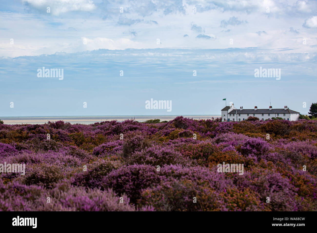 Coast Guard Cottages Dunwich Heath Stockfoto