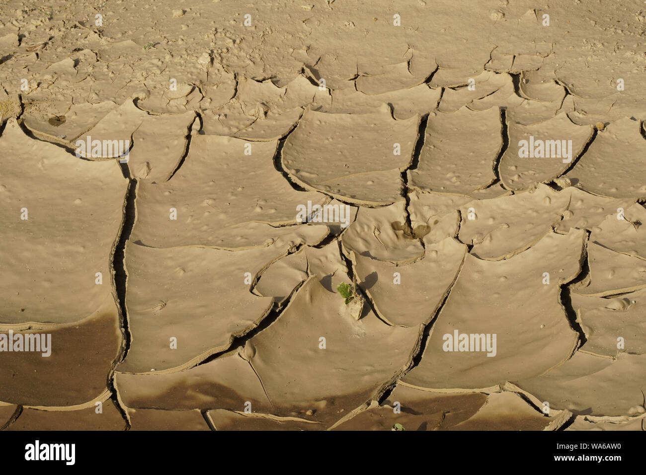 Ausgetrockneten Boden Stockfoto