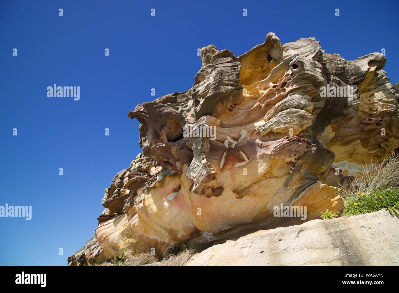 Felsschichten mit Erosionsdetails auf dem Bondi-Coogee-Walk New South Wales Australia Stockfoto