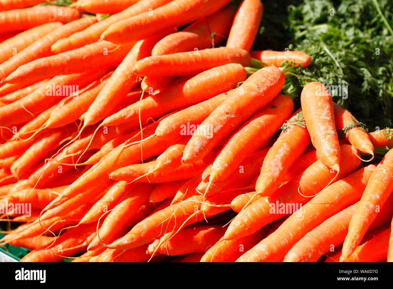 Karotten mit einem Marktstand, Bremen, Deutschland Stockfoto