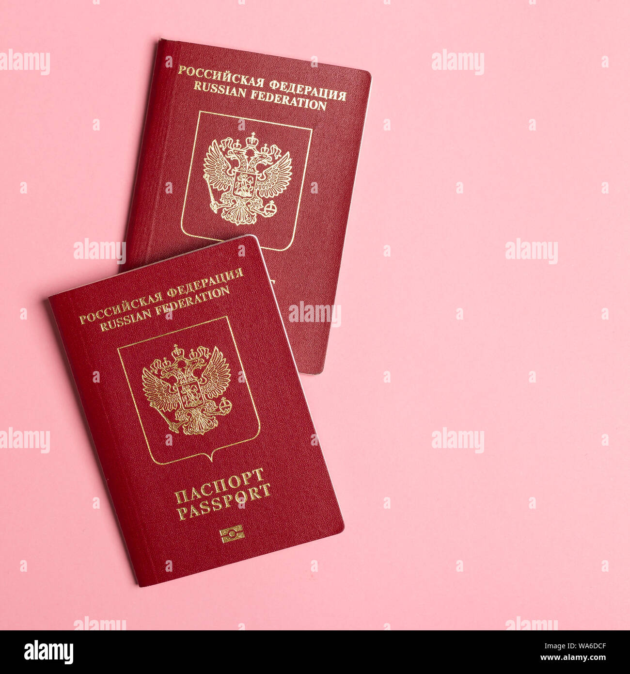 Zwei russische Pässe auf rosa Hintergrund. Reisen oder Migration Konzept. Ansicht von oben mit Kopie spce Stockfoto