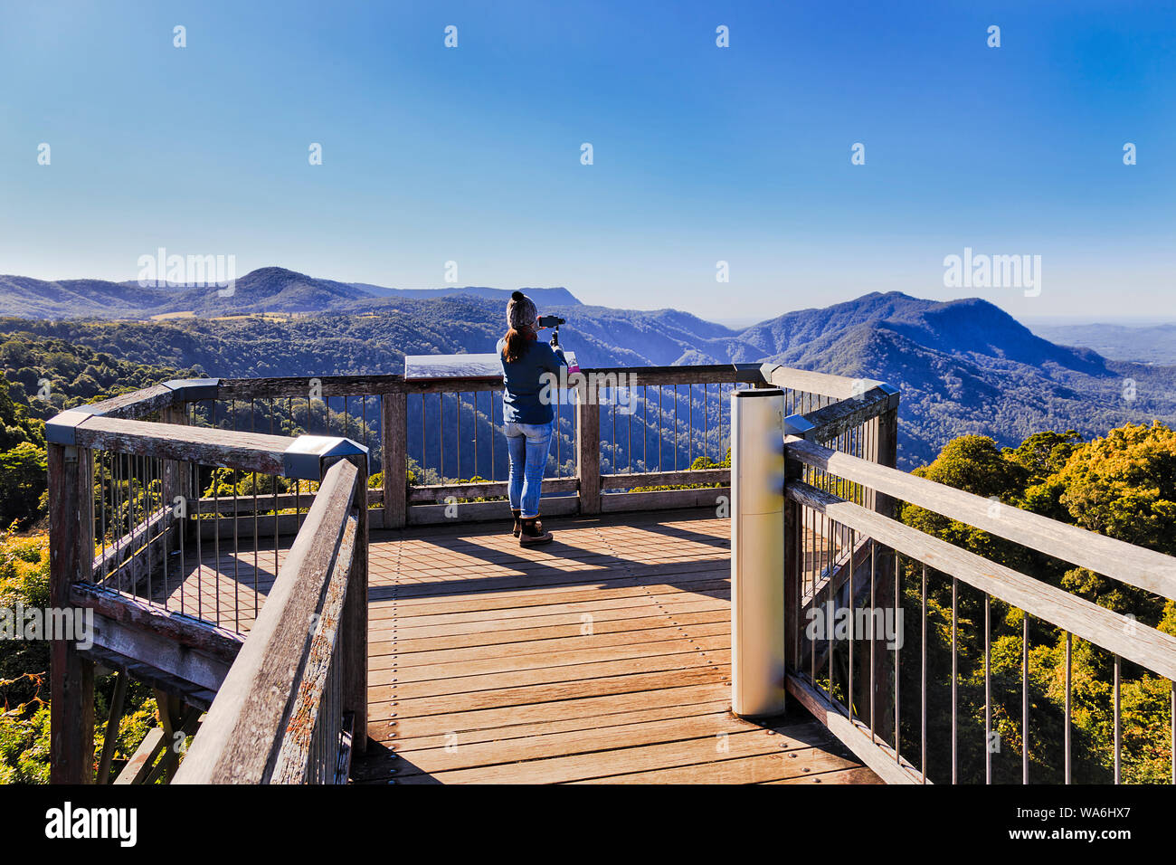Junge aktive Mädchen auf einem entfernten erhöhten Aussichtsplattform in Dorrigo National park Filmen malerischer Natur auf Mobile Smartphone unter blauen Himmel über Baum t Stockfoto