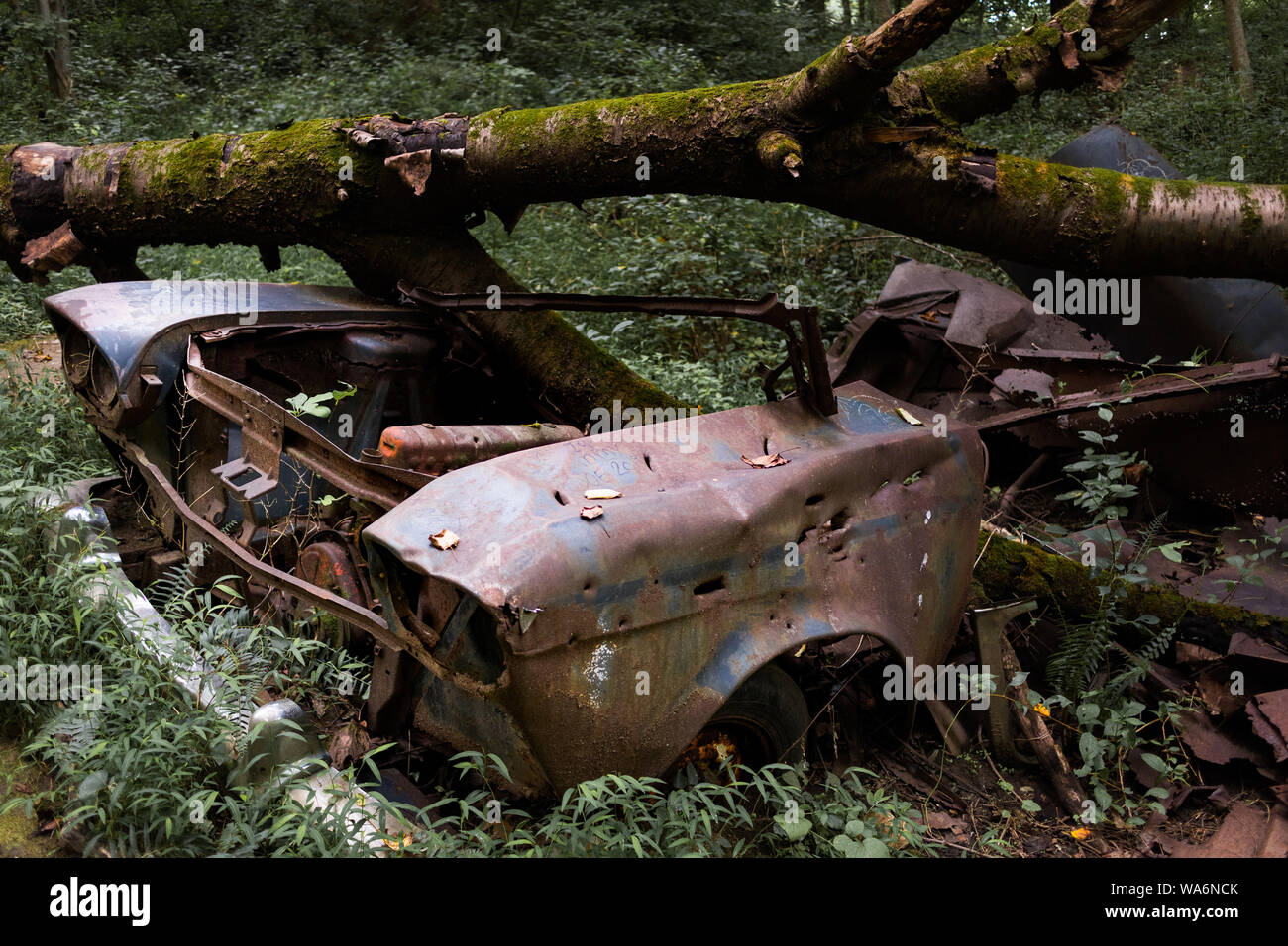 Alte ruiniert Auto im Wald. Stockfoto