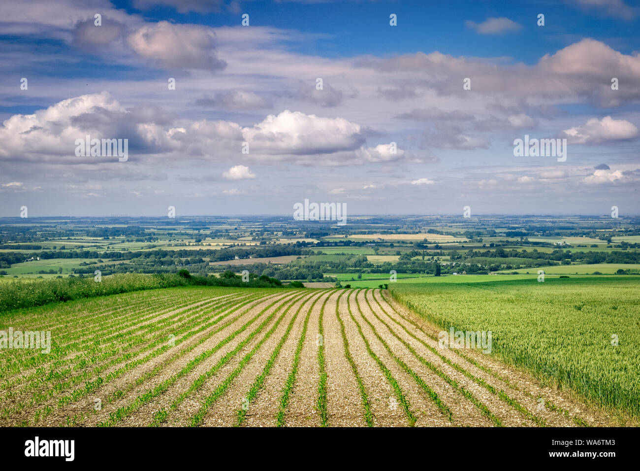 Blick über Lincolnshire Wolds Blick nach Westen von der, in der Nähe der Normanby le Wold. Stockfoto