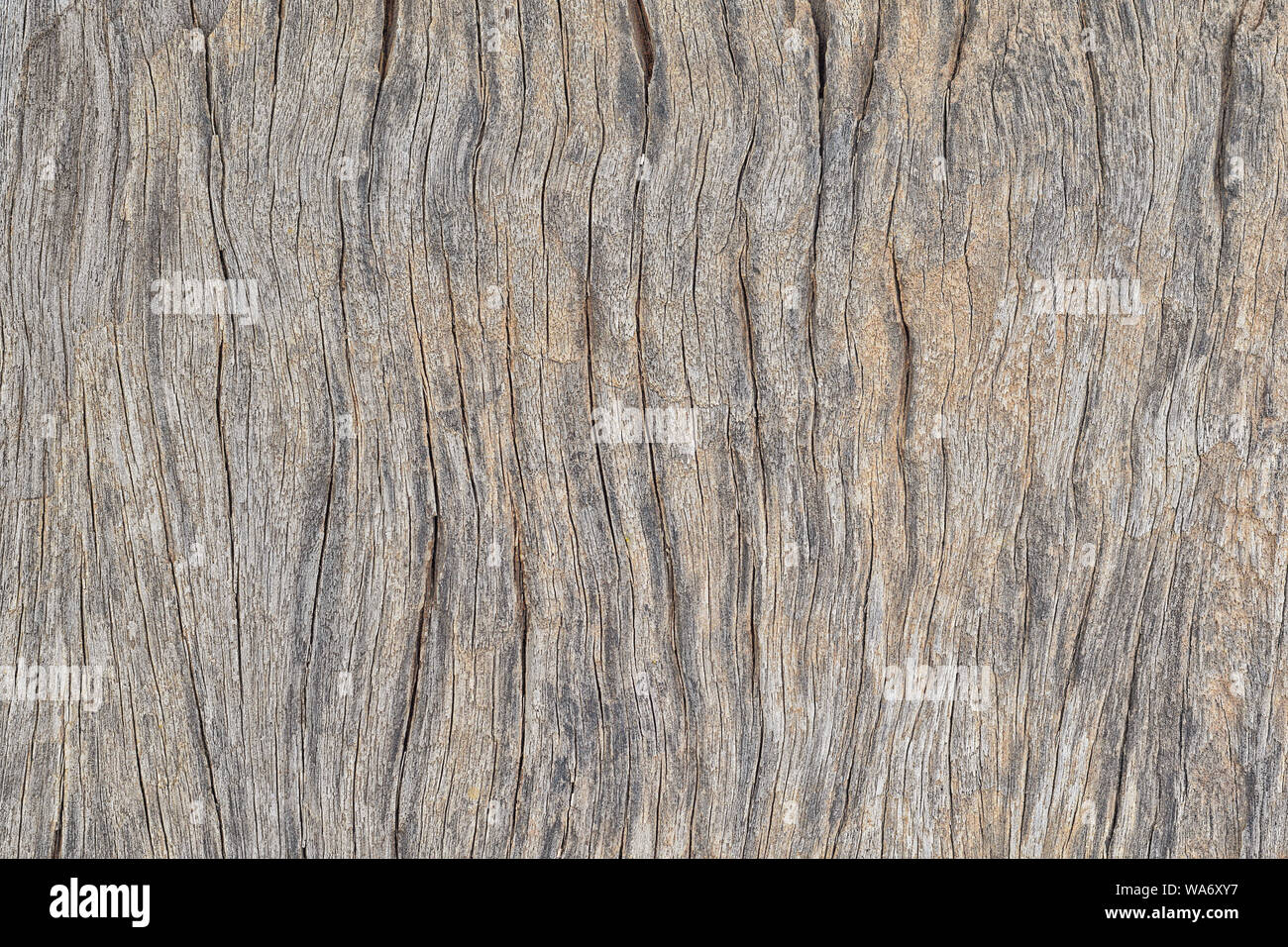 Altes holz Plank Oberflächenstruktur schnittholz Brett vintage Panel dekorative Stockfoto