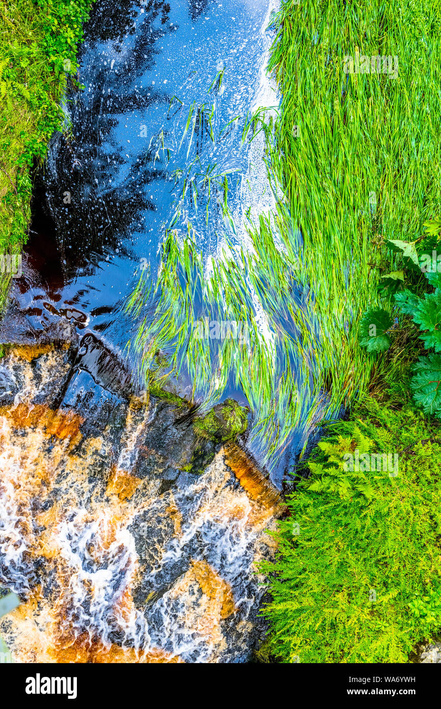 Schilf in einem schnell fließenden Fluss von oben. Stockfoto