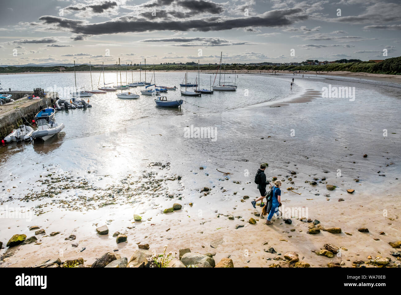 Beadnell Bay. Der Küste Strand an der Küste von Northumberland, England, Großbritannien Stockfoto