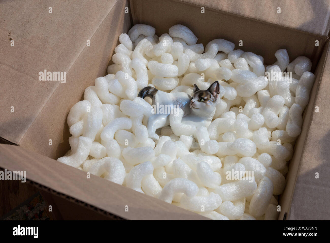 Rosenthal Porzellan Kitten Figur sicher verpackt im Karton mit Styropor Erdnüsse Stockfoto