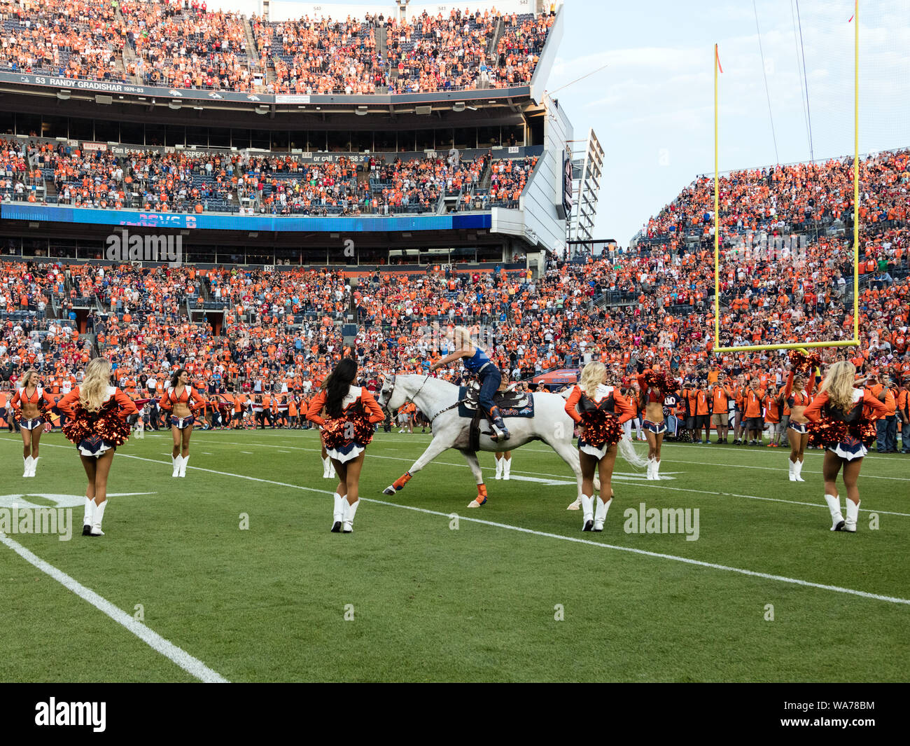 Ein Mountain Man reitet ein Hengst während der pregame Festlichkeiten an einem Denver Broncos National Football League Spiel gegen den Besuch in San Francisco 49ers an der Sports Authority Feld bei Mile High Stadium, Denver, Colorado Stockfoto