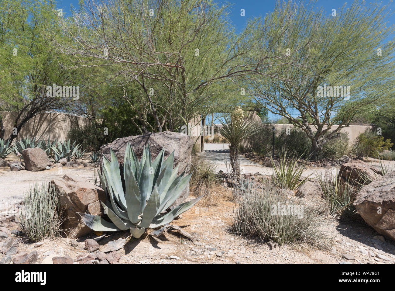 Ein Teil der Lajitas Golf Resort und Spa in Lajitas, eine Stadt an der Stelle, dass trennt Big Bend National Park Big Bend Ranch State Park im südlichen Brewster County, Texas Stockfoto