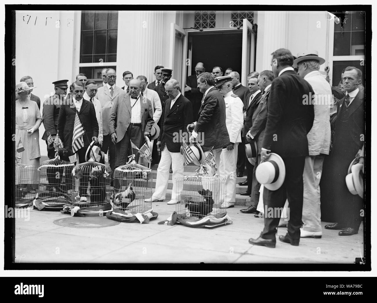 ALABAMANS. Hähne PRÄSENTIERT NACH ALABAMA BÜRGER IM WEISSEN HAUS. REP. EDWARD BERTON ALMON, 4. VON LINKS; J.H. BANKHEAD, LINKS VON WILSON, vorne; WILLIAM BROCKMAN BANKHEAD, RECHTS HINTEN; Präsident Wilson, REP. WILLIAM B. OLIVER VORNE RECHTS hinter der schwarzen Hahn; Underwood, RT von Tür; HEFLIN, Thomas, Profil, HINTEN Stockfoto