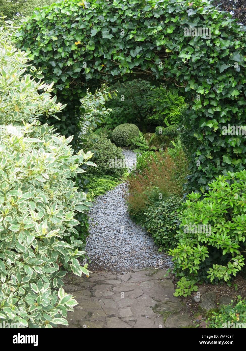 Ein schmaler Pfad fhrt in die Ferne durch ppige grne Laub und ein Efeu  bewachsenen Torbogen am John's Garden bei Ashwood Baumschulen  Stockfotografie - Alamy