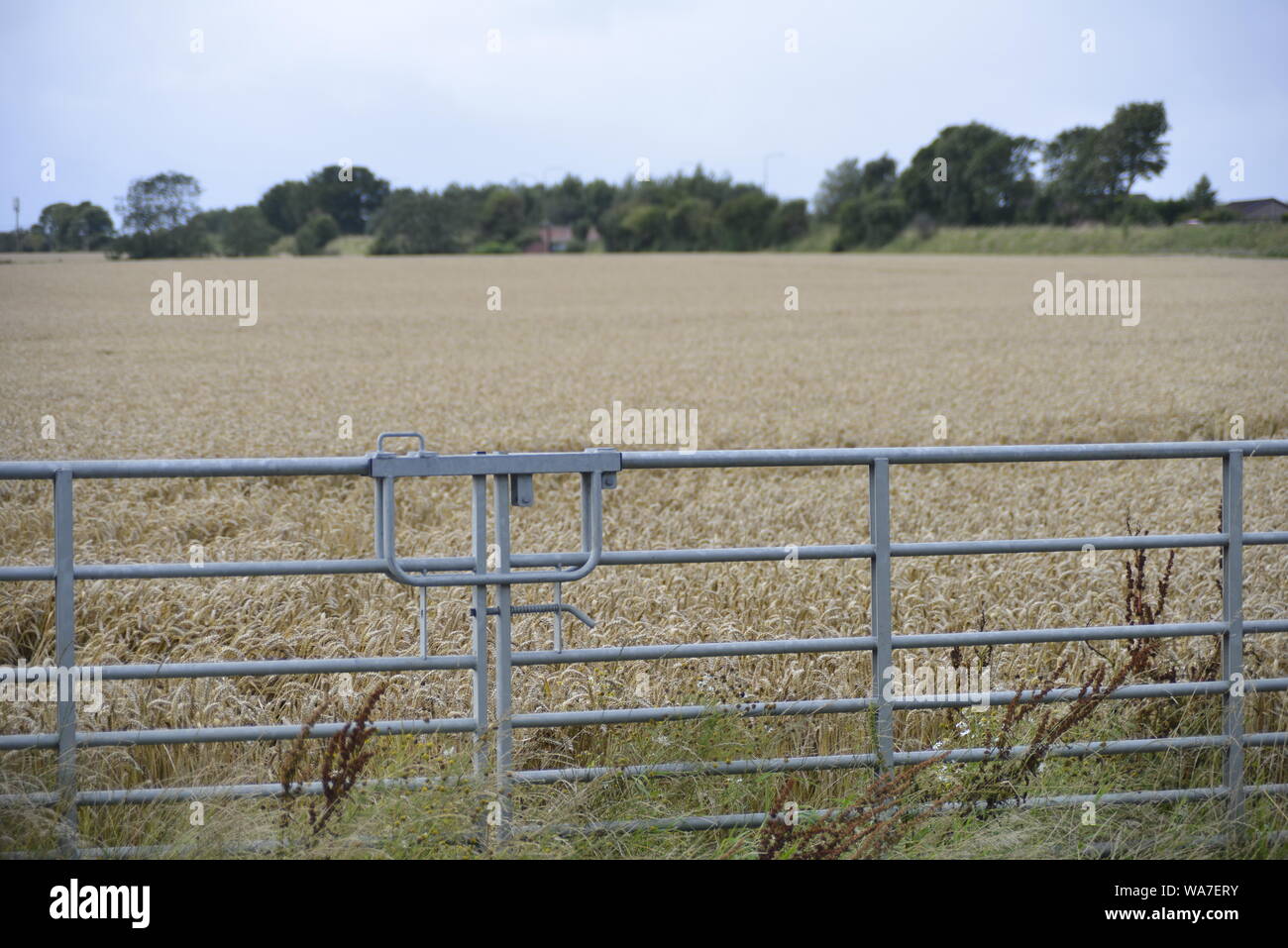 West Lothian ist eine der 32 Regionen von Schottland Stockfoto