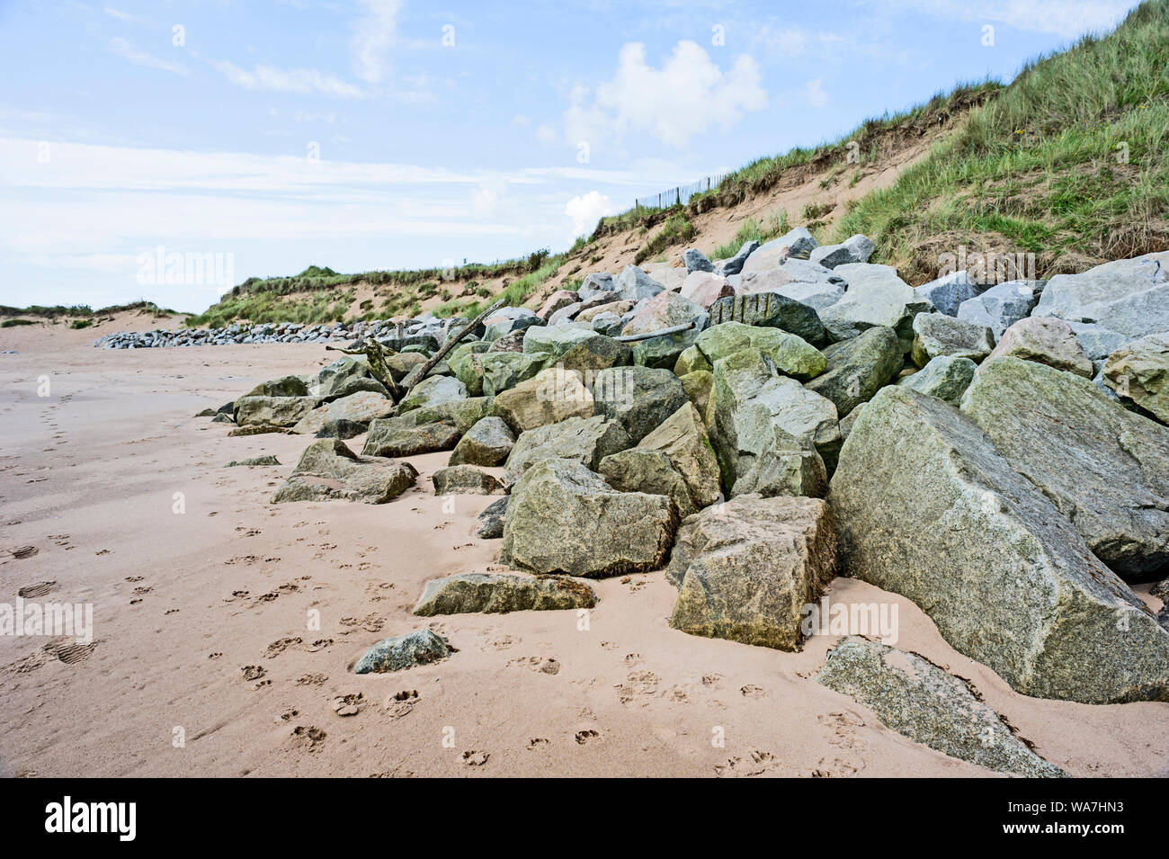 Felsbrocken der Erosion verhindert der Sanddünen auf Montrose Strand, Angus, an der Ostküste von Schottland, Großbritannien Stockfoto