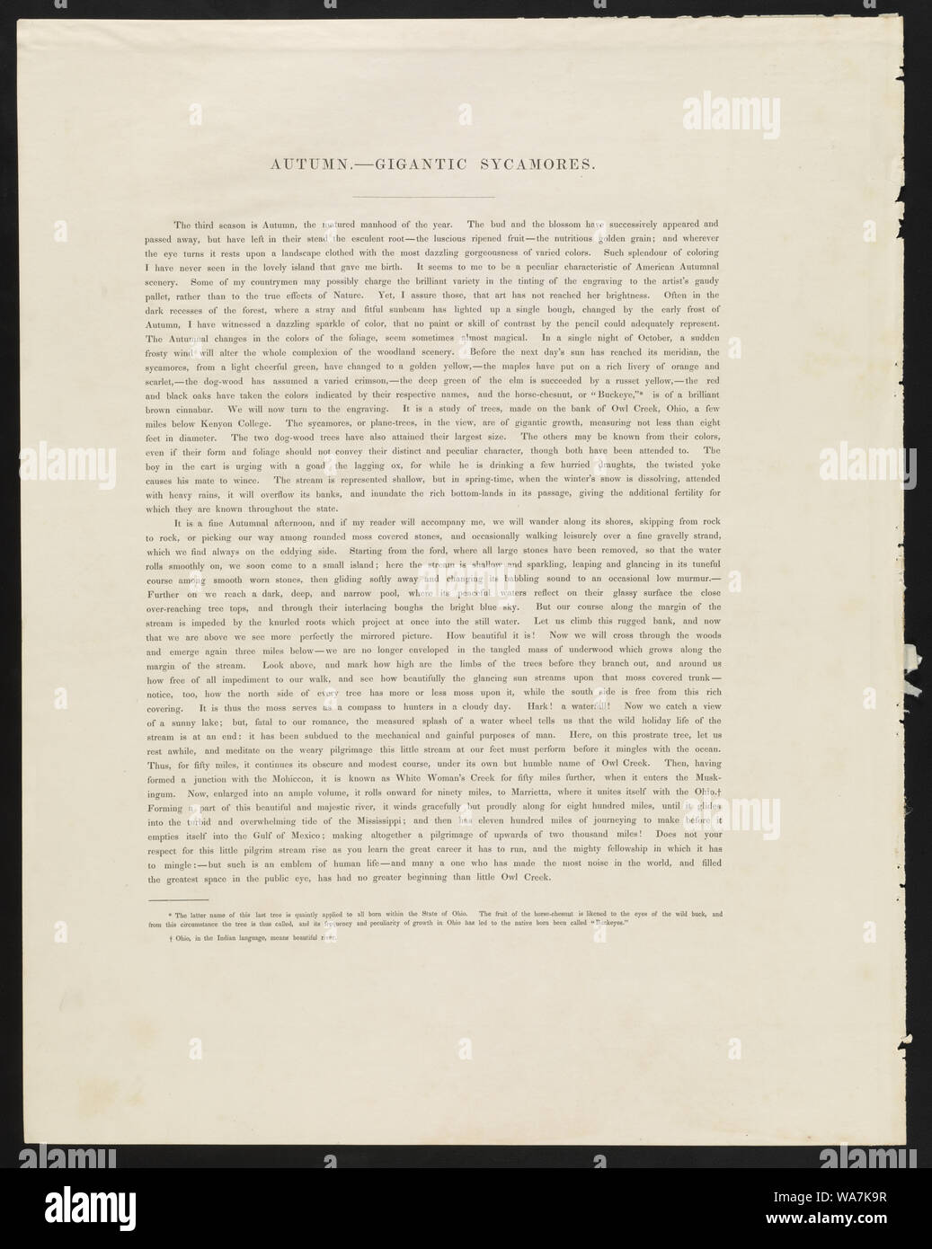 Herbst. Nr. 4. Riesigen Platanen. Einen Ochsen Team Überqueren der Ford. Owl Creek, Ohio Abstract: Drucken zeigt einen Mann in einem ochsenkarren Sitzung über einen Stream an der Furt, mit großen Platanen und andere Bäume mit Herbstfarben im Hintergrund. Stockfoto