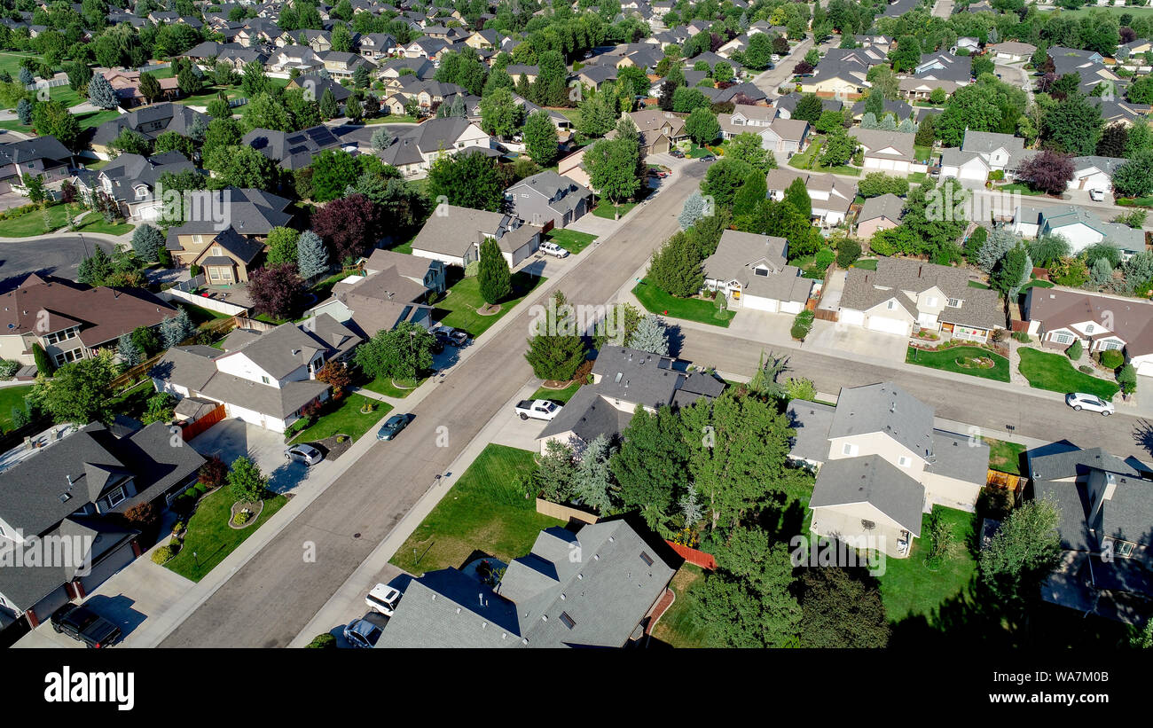 Bäume säumen die Straße mit Häusern und grünen Rasen Stockfoto