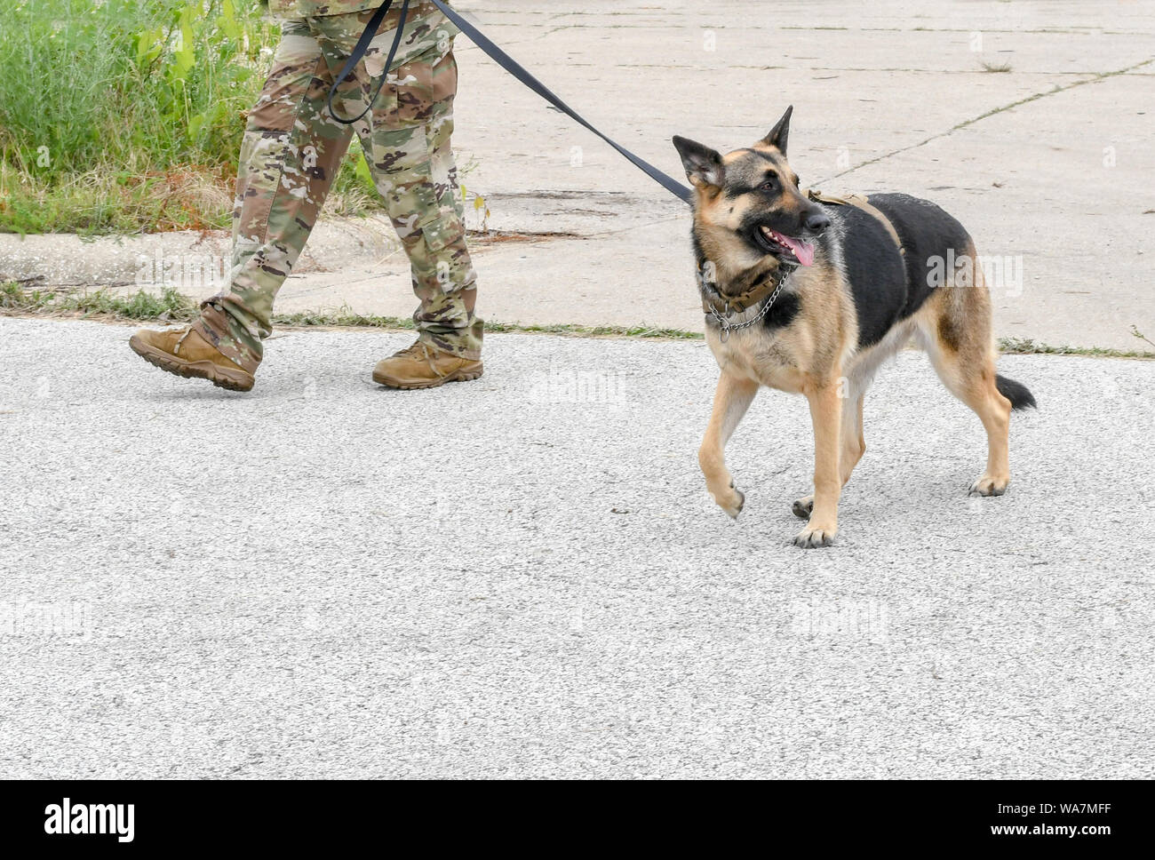 22. Juni 2018; ein Soldat wegen seiner militärischen Hund an der Leine, Mensch und Tier in Uniform während einer Veranstaltung in St. Joseph, MI USA Stockfoto