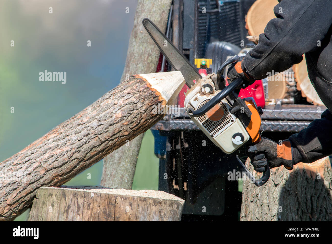 Kettensägenschnitzer bildhauer -Fotos und -Bildmaterial in hoher Auflösung  – Alamy