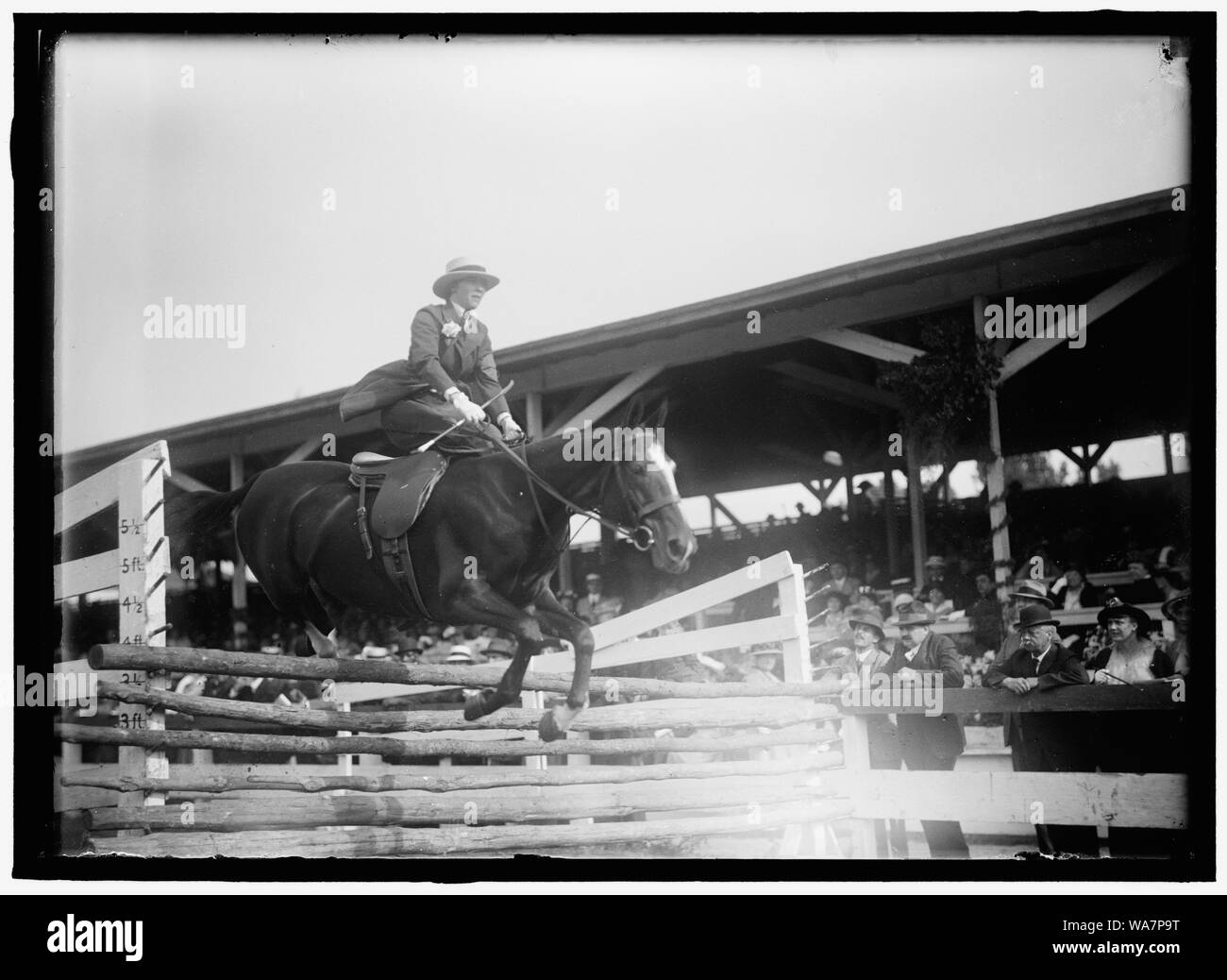 BUCHANAN, Miss HELEN. HORSE SHOW Stockfoto