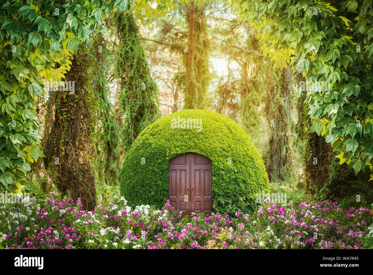 Magische Fantasiewelt in Grün geheimnisvollen Wald. Märchen Konzept. Stockfoto