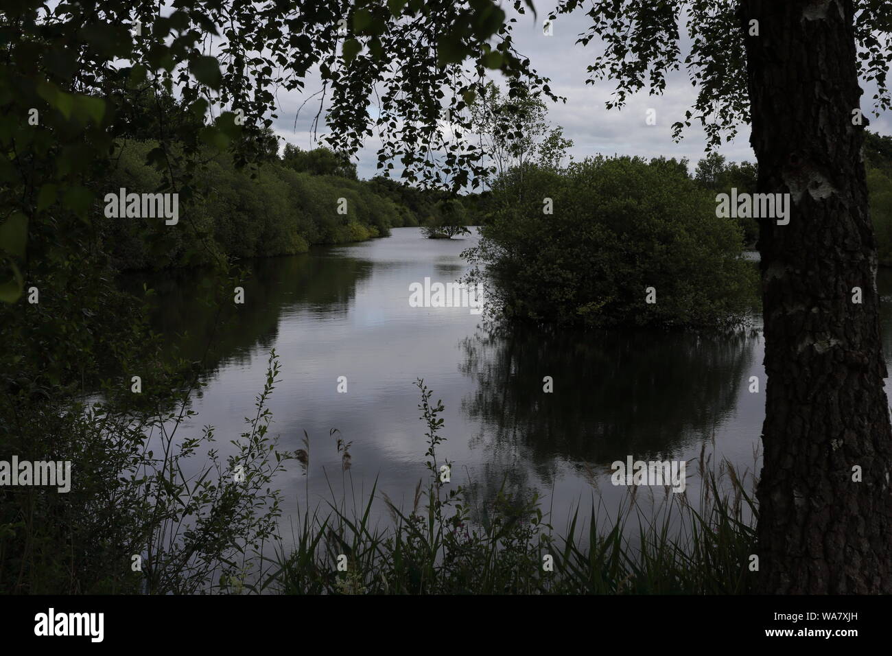 Ausblick auf den kleinen See am Whisby Welt der Natur in Lincoln einschließlich Bäume und Mehrfachreflexion Stockfoto