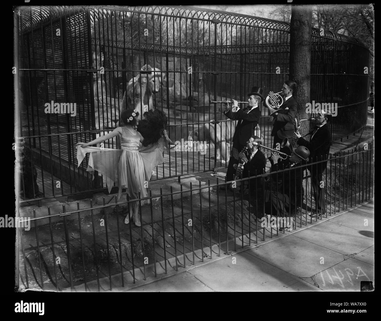 Beats das arktische Eis und Schnee, so sagte Herr Eisbär im Washington Zoo, wenn die besser Ole club Orchester, unterstützt von Dolly Daye, Tänzerin, ihren wildesten Notizen und tanzt vor Bruno's Cage versucht. Zutreffend, Frau Bruno entwickelt einen Streifen von Eifersucht und weigerte sich, die Leistung zu beobachten. Die Musik kann das wilde Tier beruhigt aber Bruno Chief's Interesse war auf die kleine Dame zentriert... Stockfoto