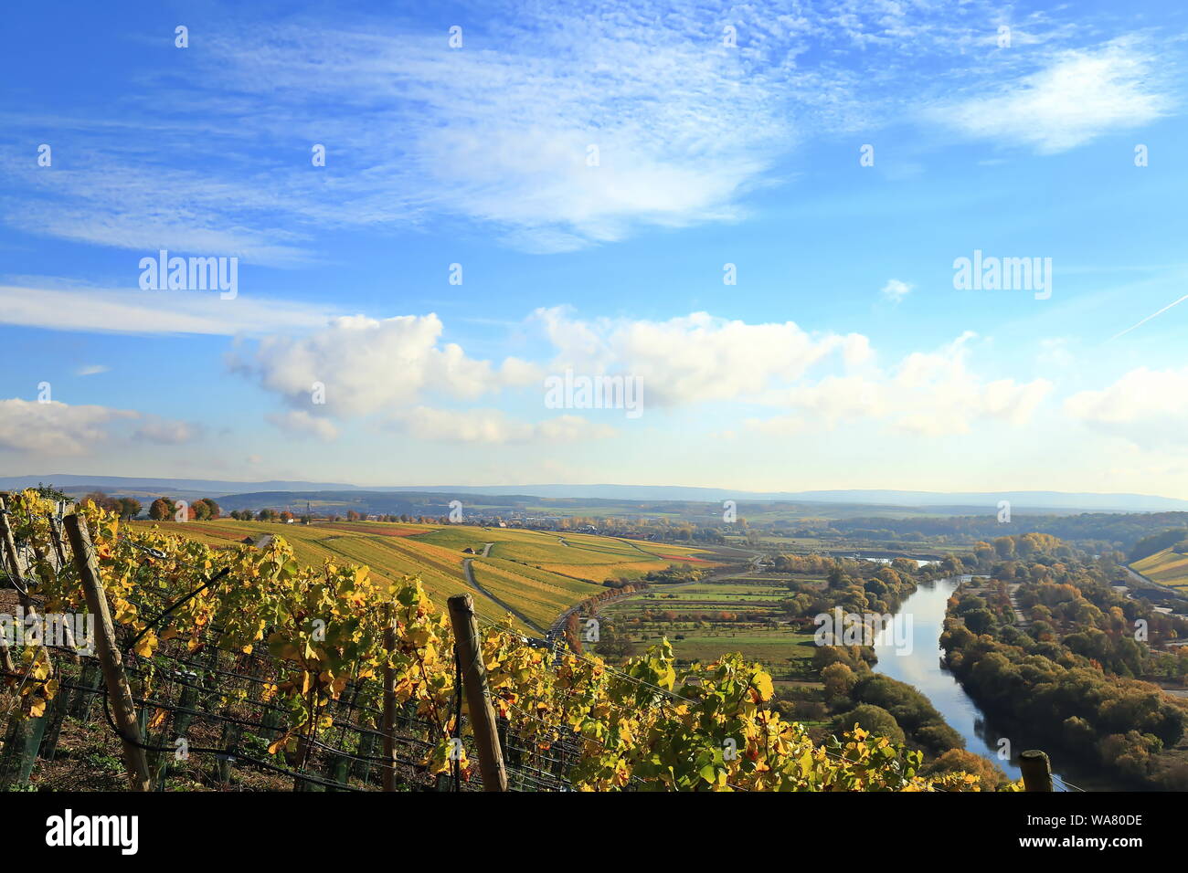 Volkach ist ein sehr bekanntes Weinanbaugebiet in Deutschland, Bayern, Franken Stockfoto