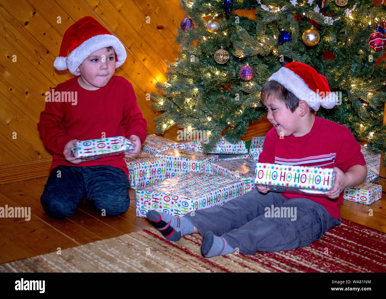 Zwei Brüder schütteln Pakete unter den Baum, versuchen zu erraten, was innen ist Stockfoto