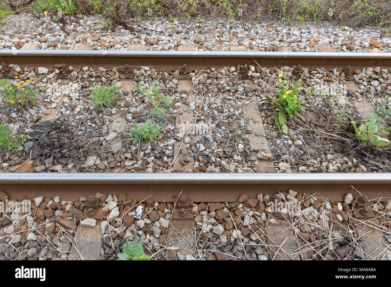 Detailansicht der älteren Schienen mit Unkraut. Konzept der Eisenbahn Wartung. Stockfoto